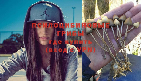 прущие грибы Алексеевка