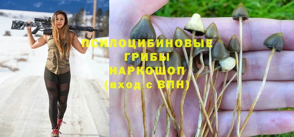 прущие грибы Алексеевка